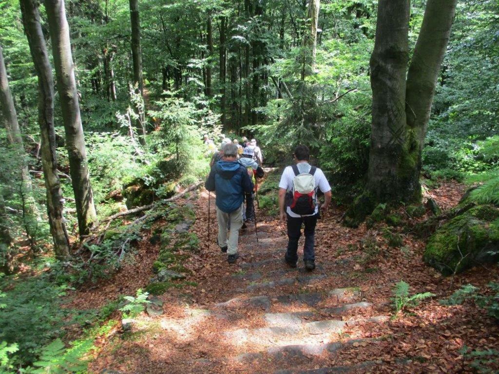 Ferienhaus Ederer Waldmünchen Esterno foto